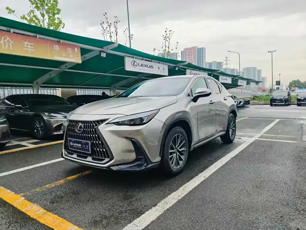 Lexus NX 2023 из CN, фото 1