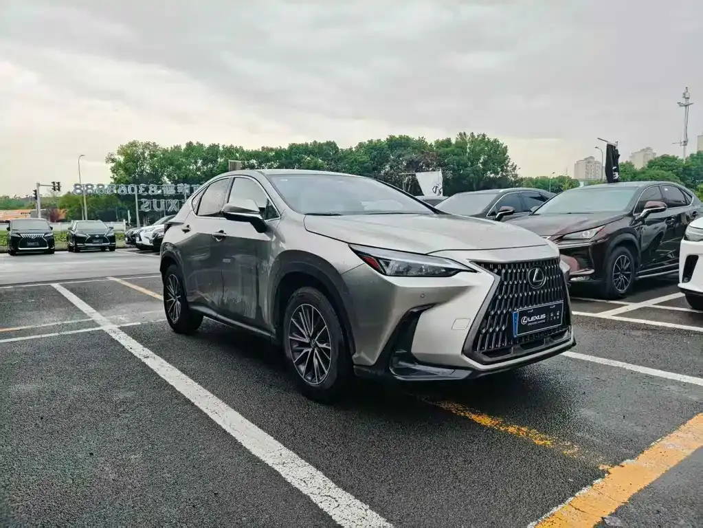 Lexus NX 2023 из CN, фото 2