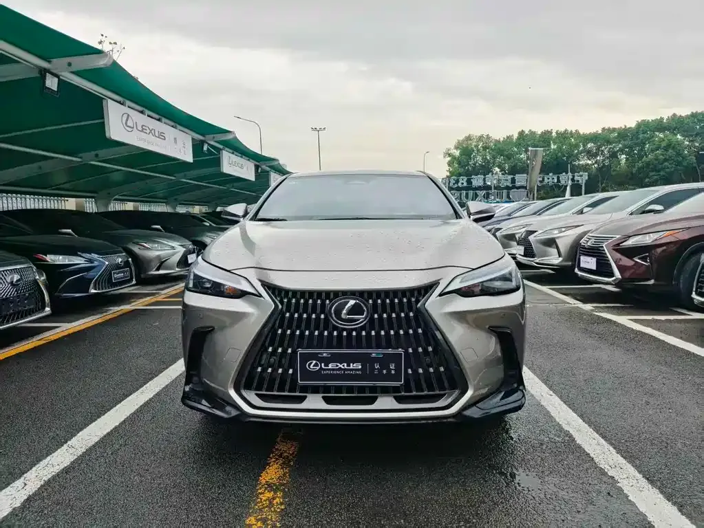Lexus NX 2023 из CN, фото 3