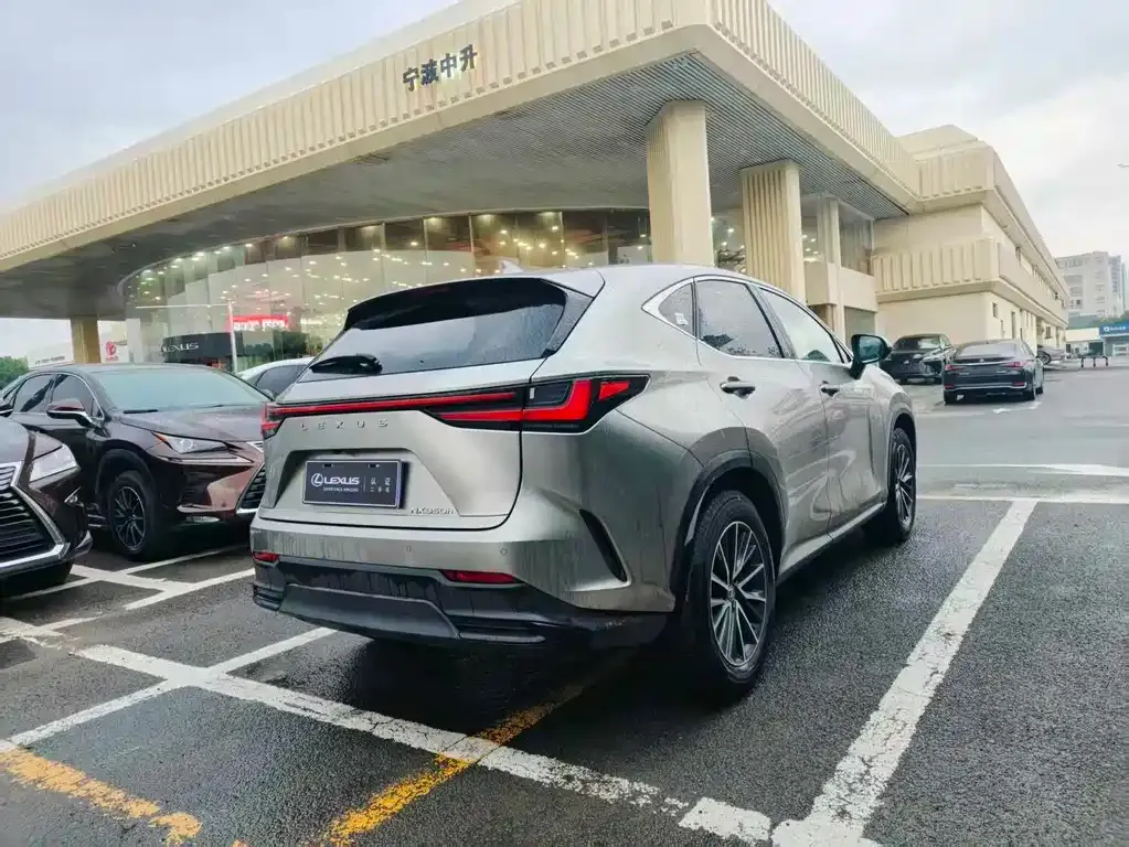 Lexus NX 2023 из CN, фото 7