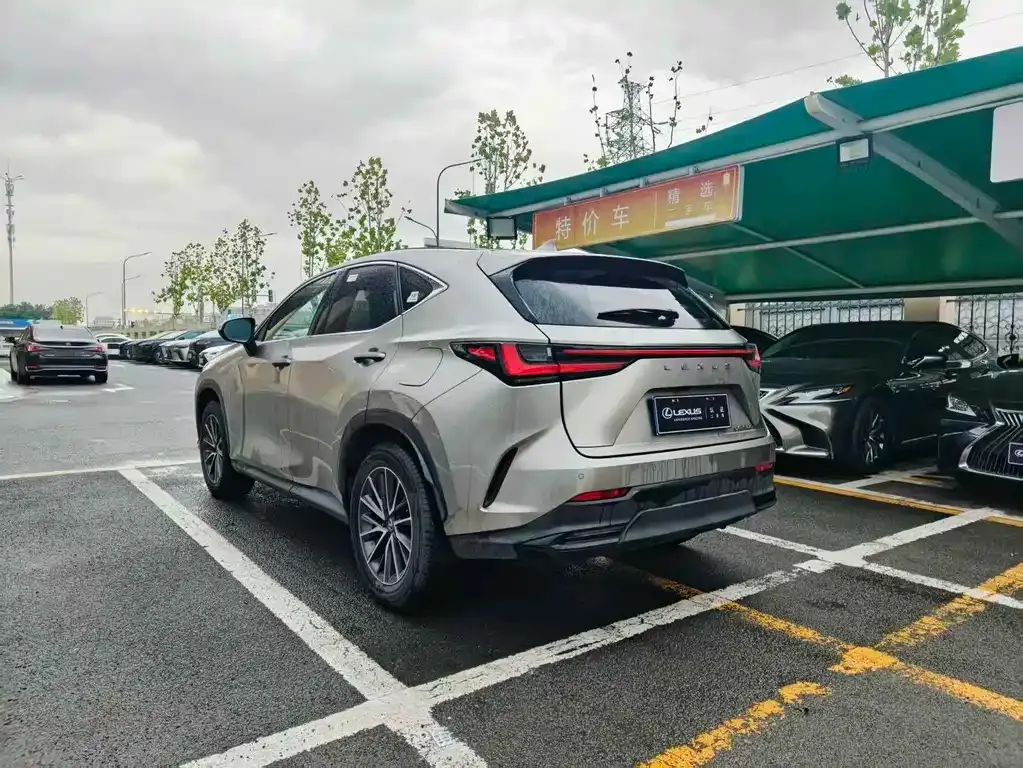 Lexus NX 2023 из CN, фото 9