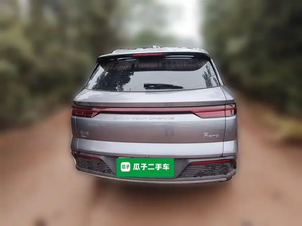 BYD Pro New Energy — фото 6