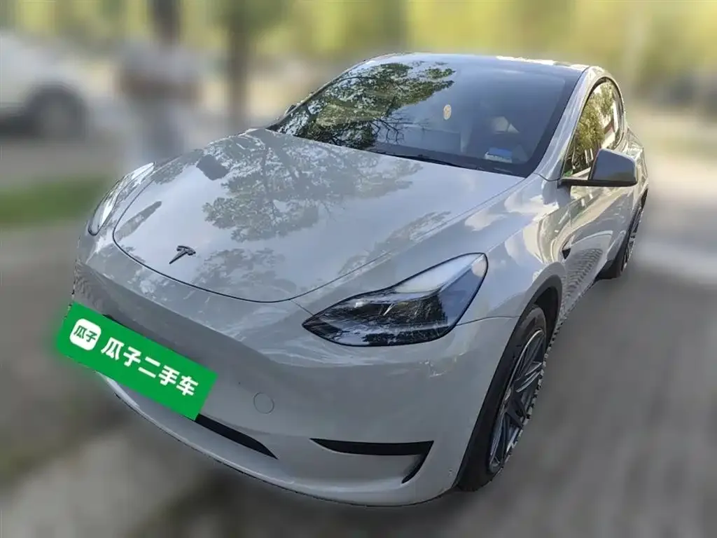 Tesla Model Y — фото 2