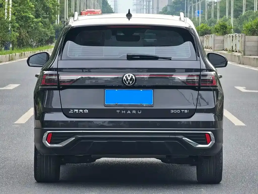 [object Object] Tharu 2024 из CN, фото 8