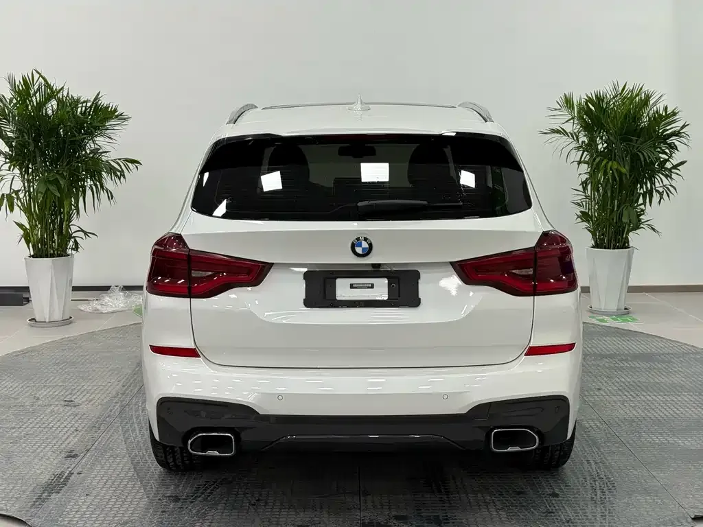 BMW X3 2021 из CN, фото 5