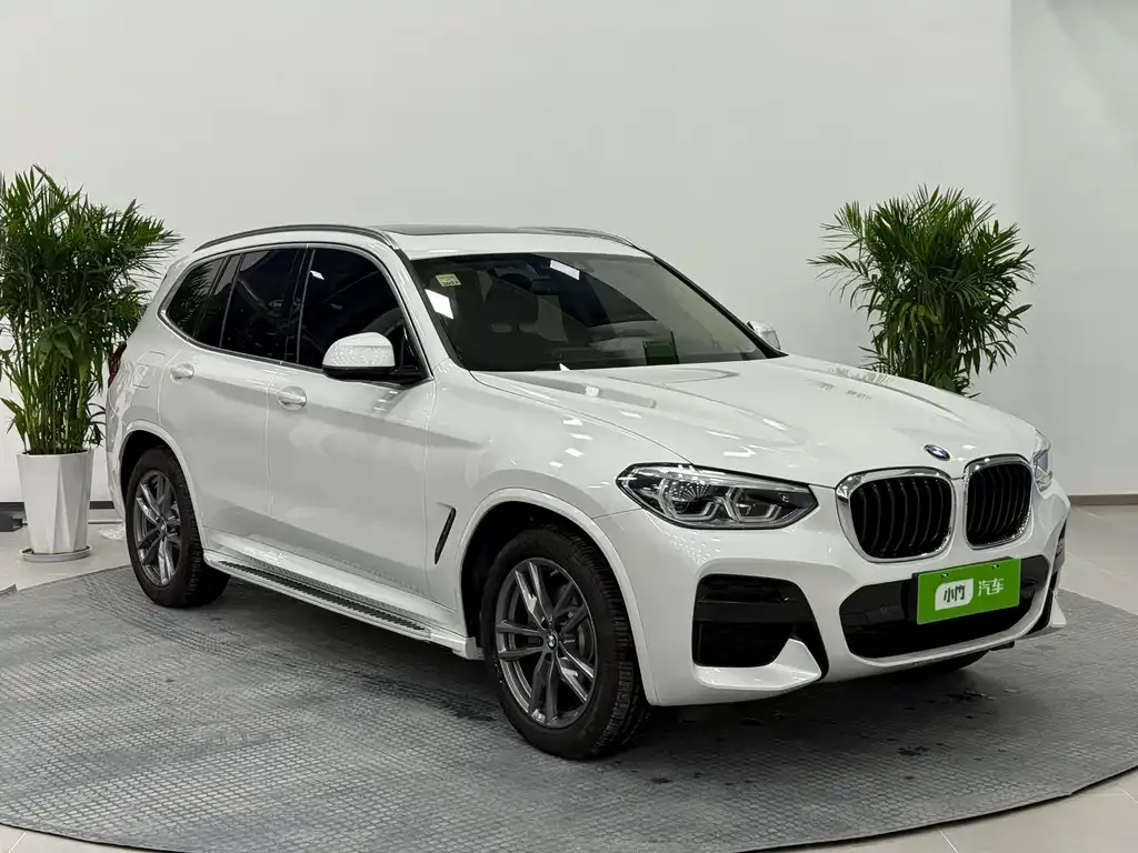 BMW X3 2021 из CN, фото 8