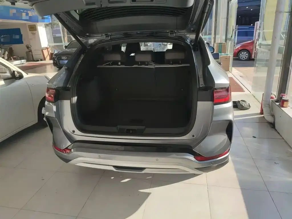 BYD PLUS New Energy — фото 10