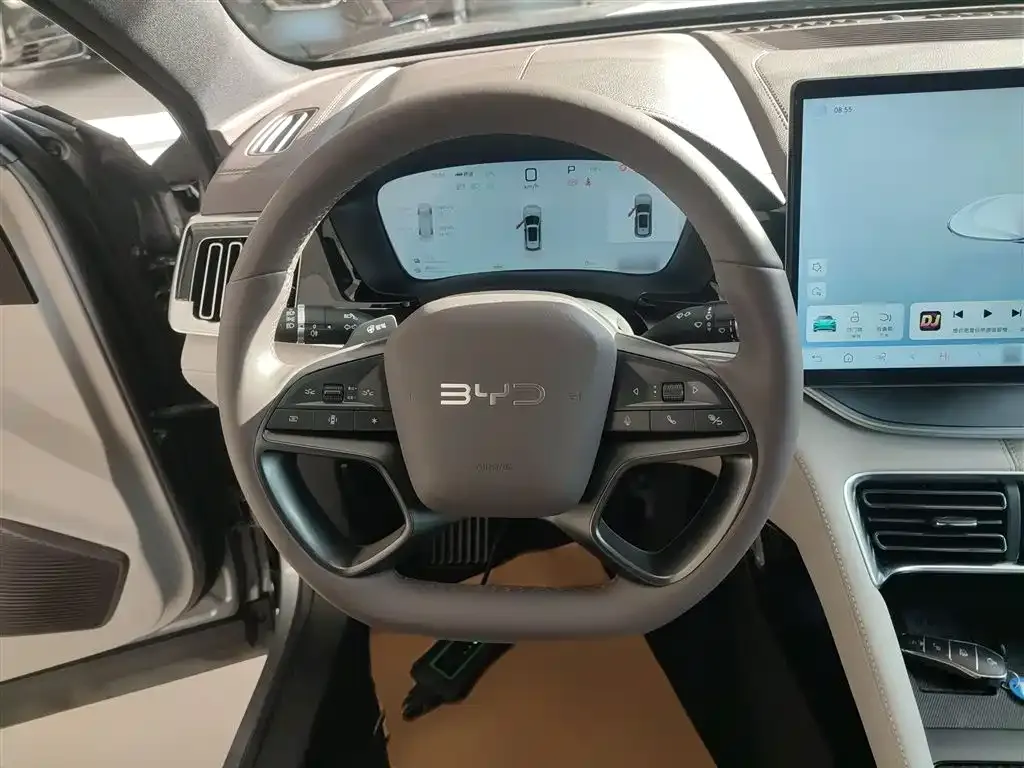 BYD PLUS New Energy — фото 3