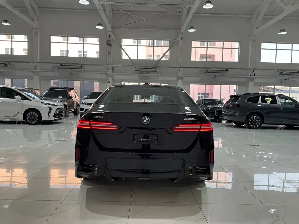 BMW 5 Series 2025 из CN, фото 5