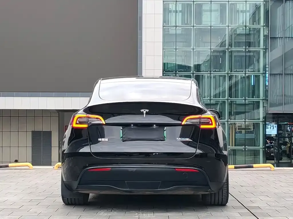 Tesla Model Y — фото 10