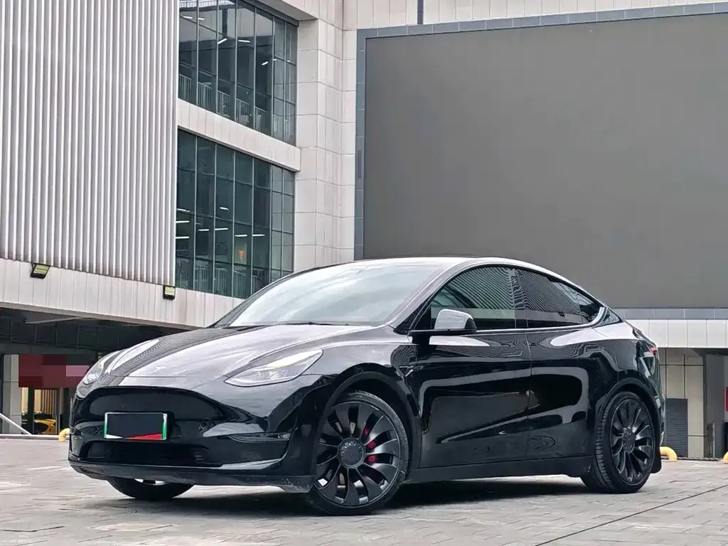 Tesla Model Y — фото 2