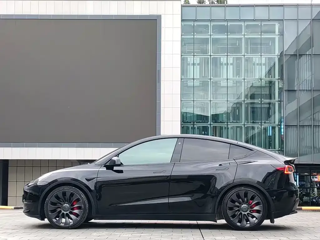 Tesla Model Y — фото 9