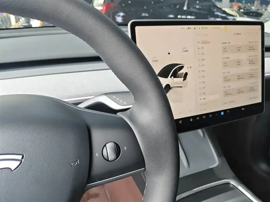 Tesla Model Y 2024 из CN, фото 6