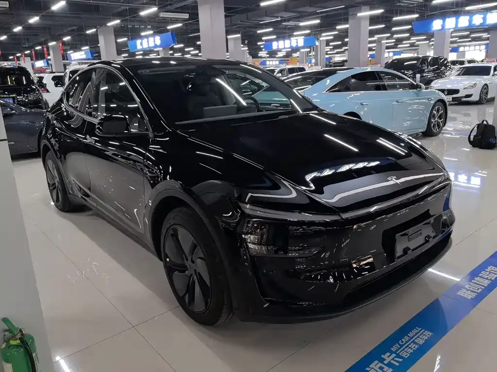 Tesla Model Y — фото 3