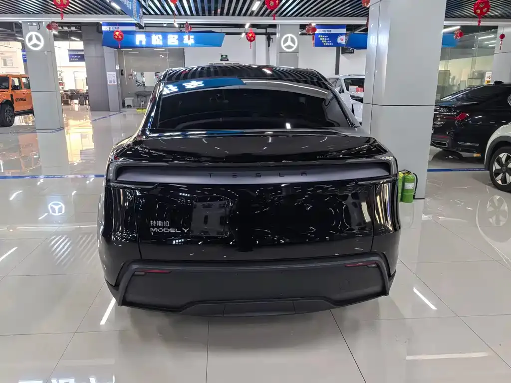 Tesla Model Y — фото 5