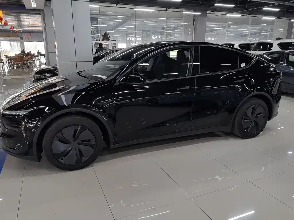Tesla Model Y — фото 7