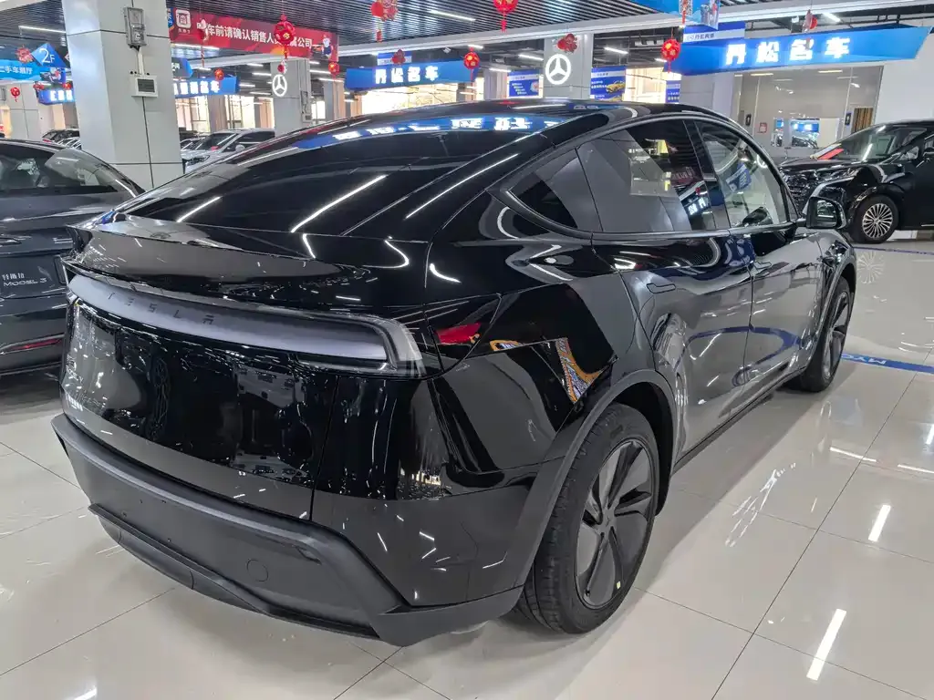 Tesla Model Y — фото 8