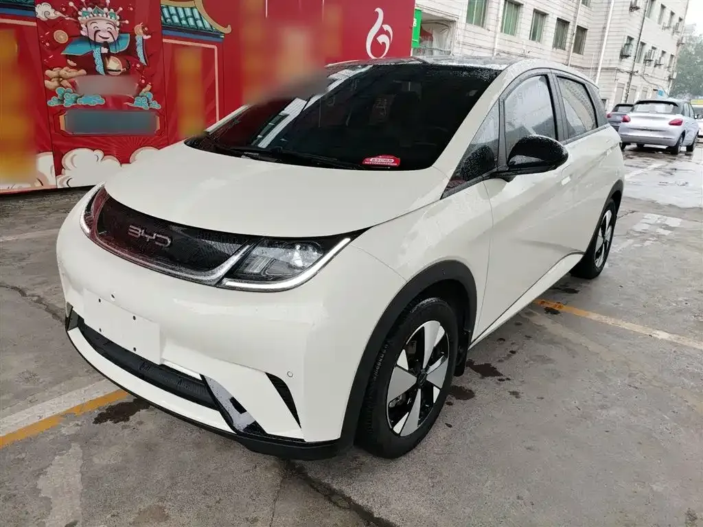 BYD Dolphin 2023 из CN, фото 1