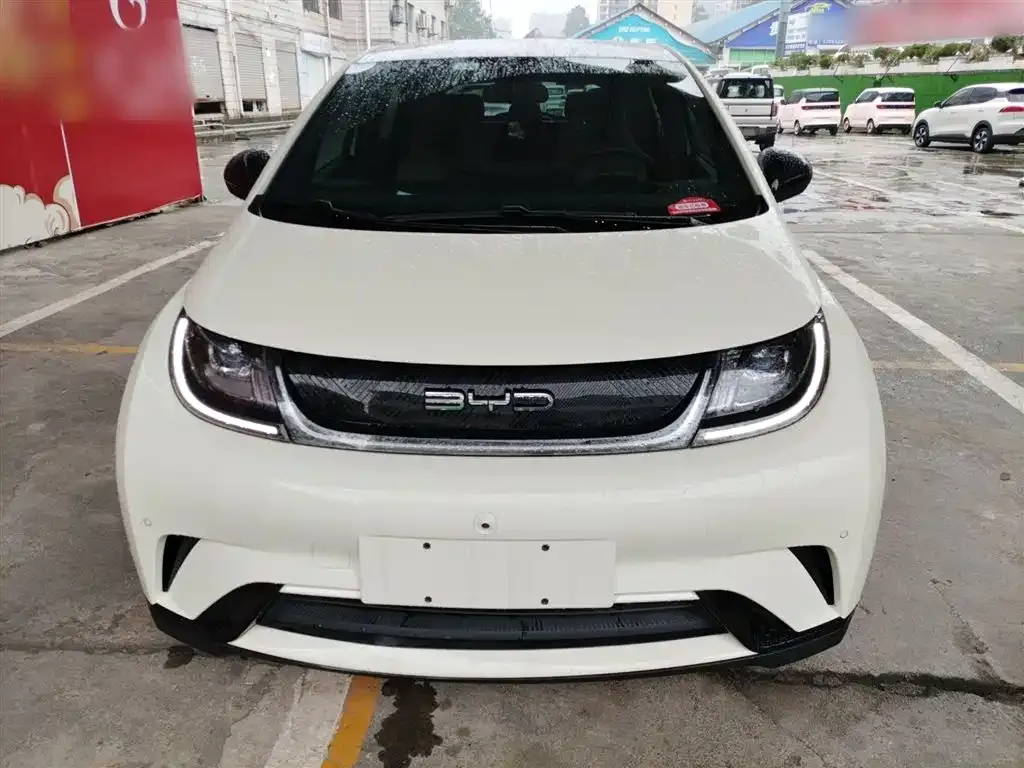 BYD Dolphin 2023 из CN, фото 3