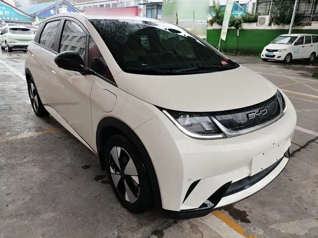 BYD Dolphin 2023 из CN, фото 4