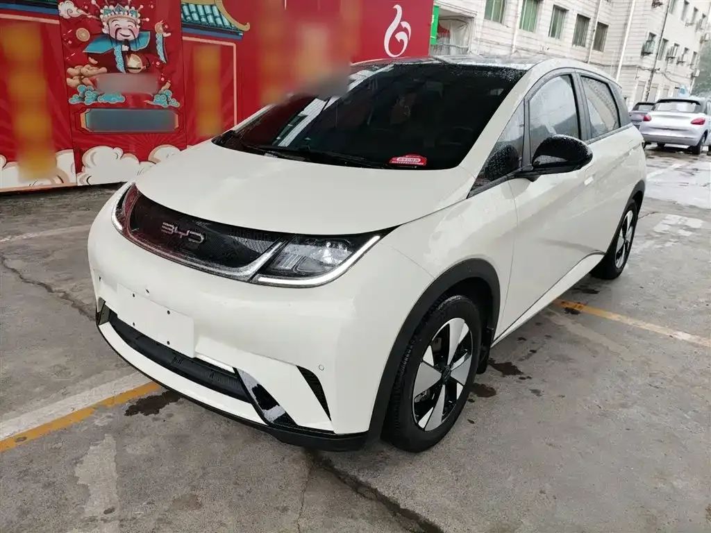 BYD Dolphin 2023 из CN, фото 5