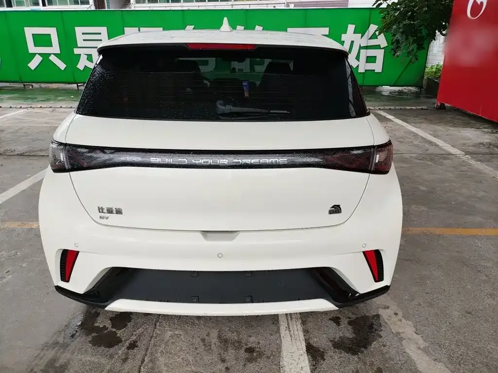 BYD Dolphin 2023 из CN, фото 6