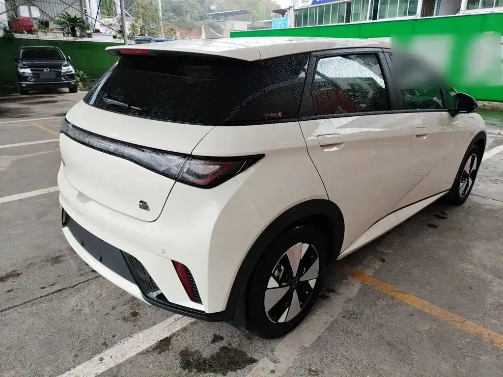 BYD Dolphin 2023 из CN, фото 7
