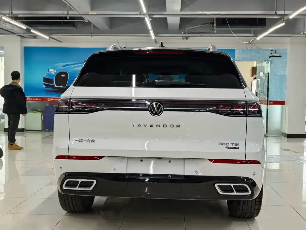 Volkswagen Tavendor 2022 из CN, фото 8
