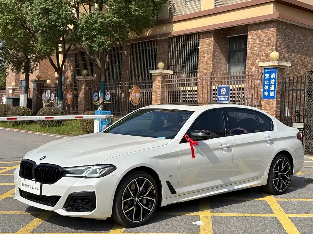 BMW 5 Series 2021 из CN, фото 1