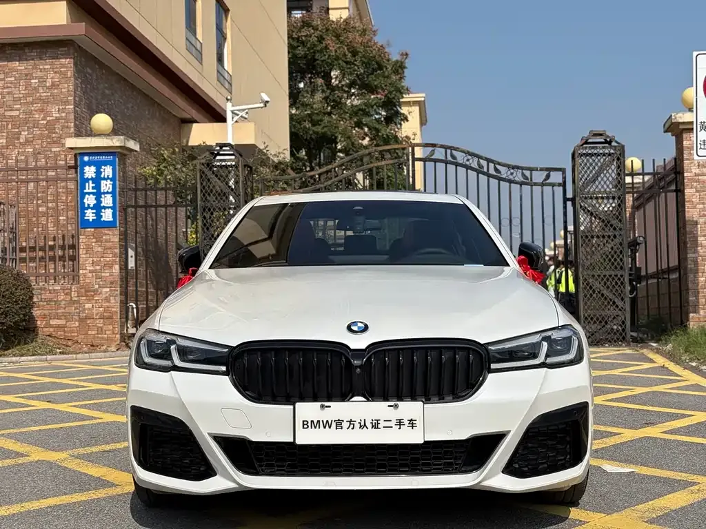 BMW 5 Series 2021 из CN, фото 2