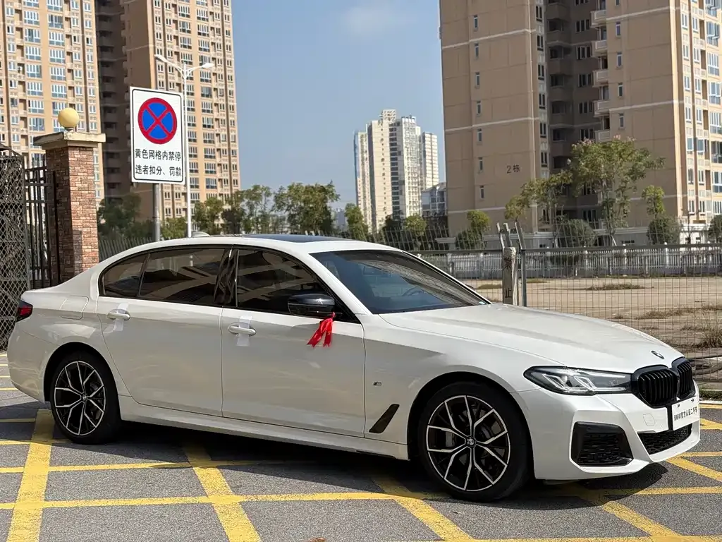 BMW 5 Series 2021 из CN, фото 3
