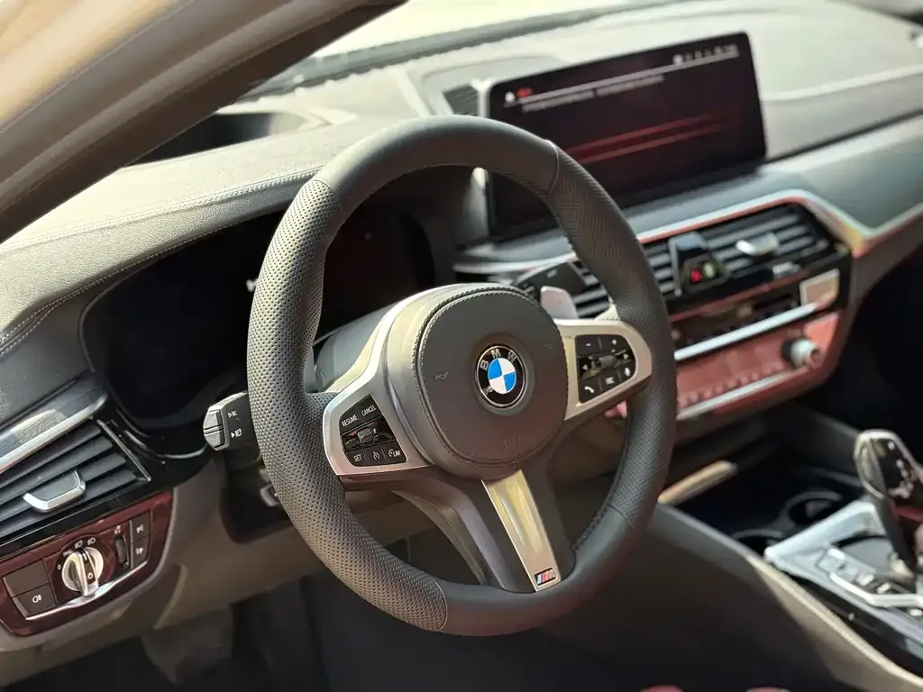 BMW 5 Series 2021 из CN, фото 4