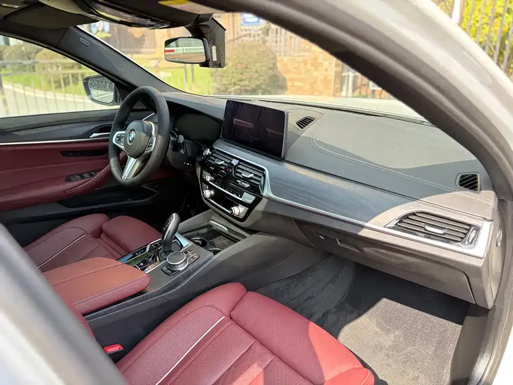 BMW 5 Series 2021 из CN, фото 7