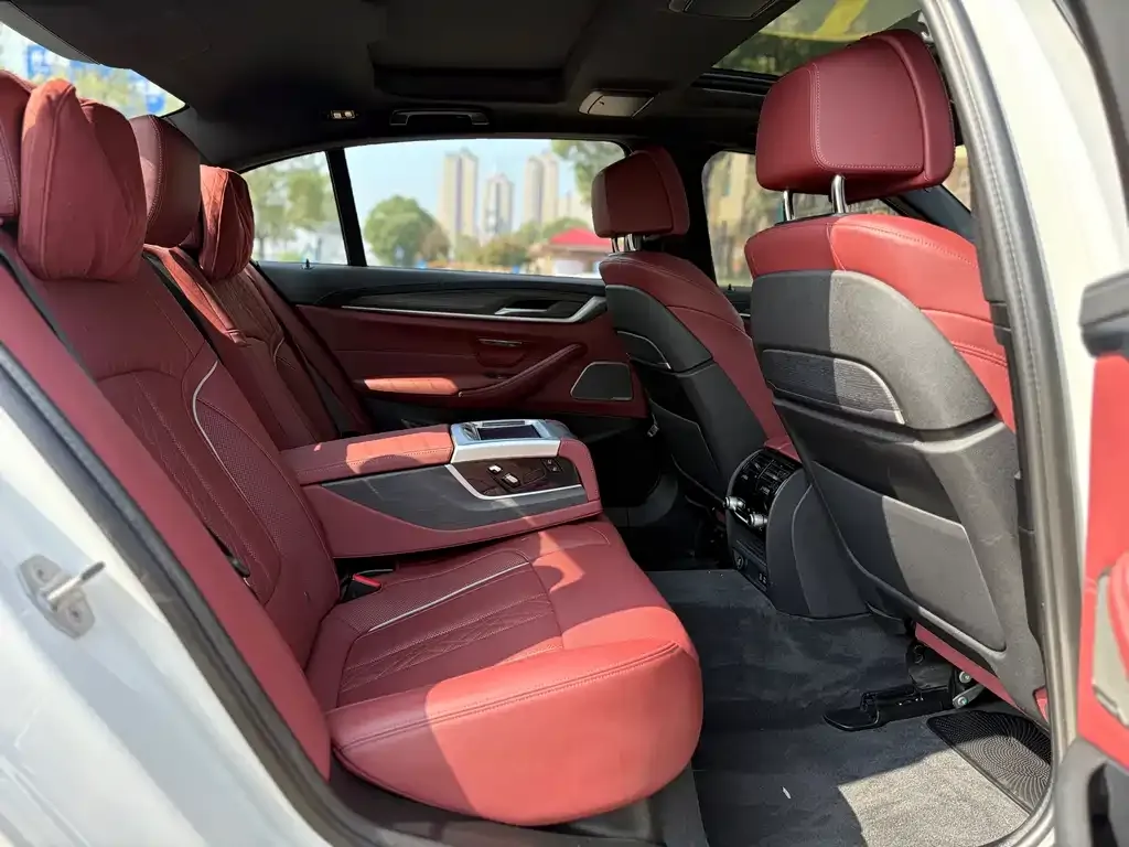 BMW 5 Series 2021 из CN, фото 8