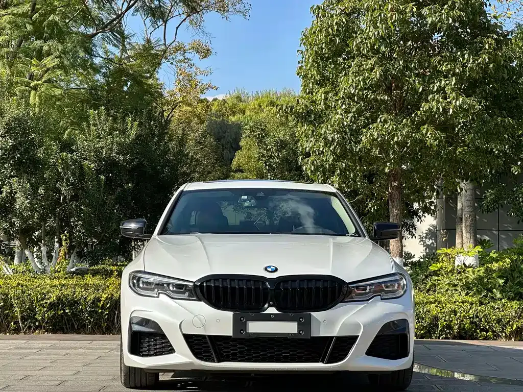BMW 3 Series — фото 2