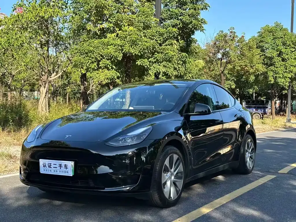 Tesla Model Y 2022 из CN, фото 1