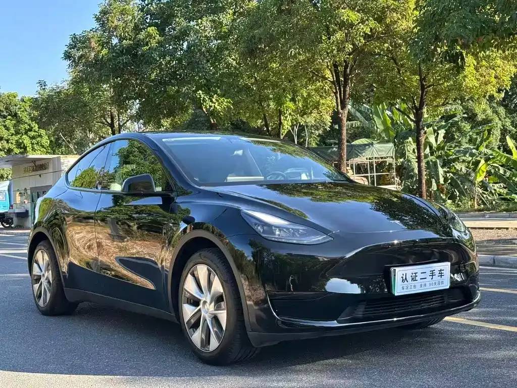 Tesla Model Y 2022 из CN, фото 3