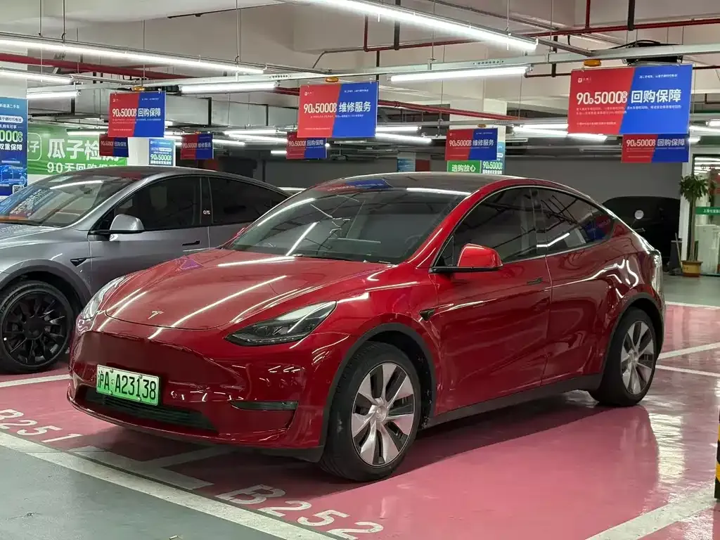 Tesla Model Y 2021 из CN, фото 1