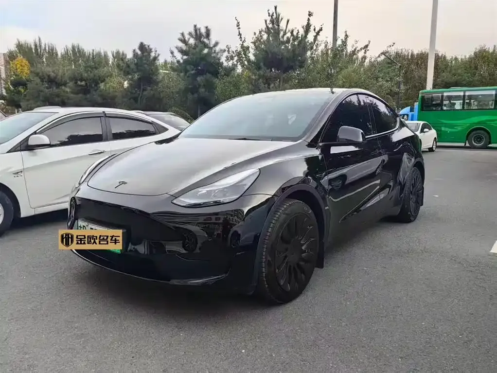 Tesla Model Y 2023 из CN, фото 1