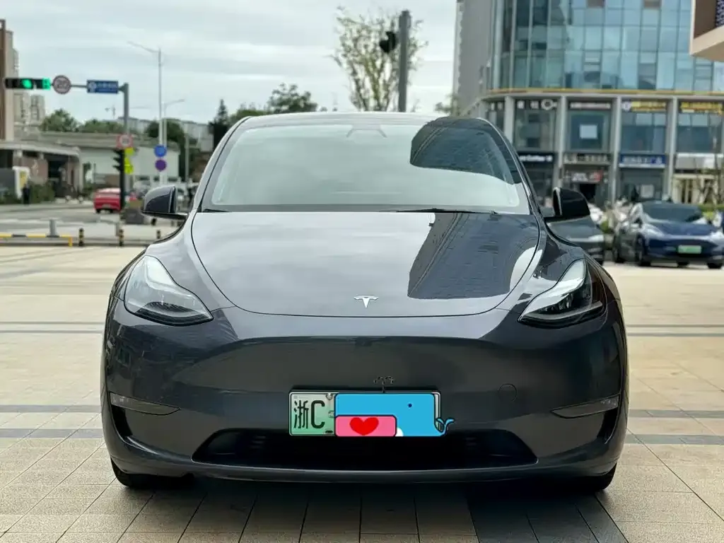 Tesla Model Y 2021 из CN, фото 1