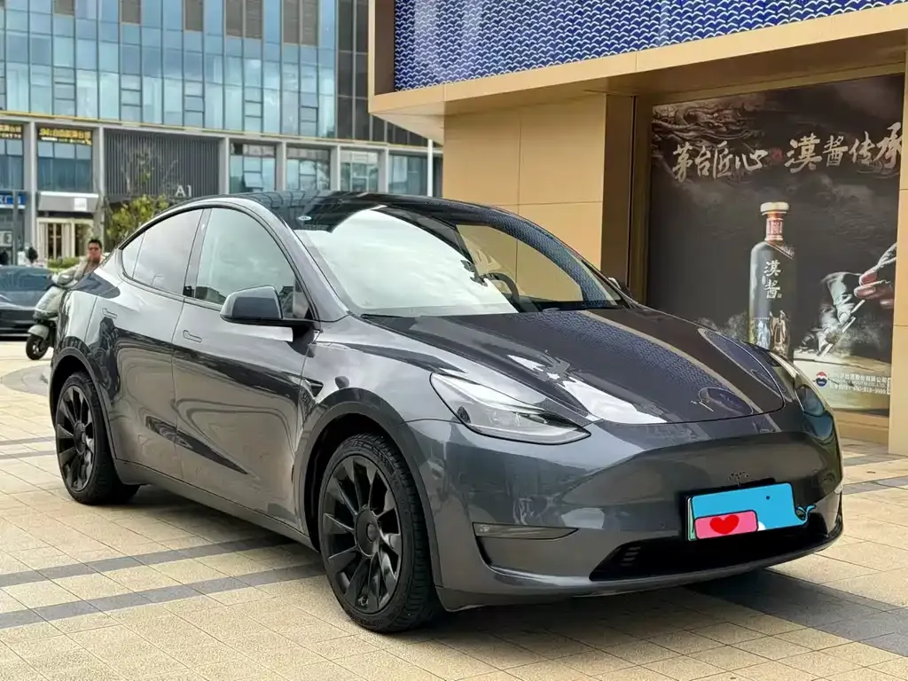 Tesla Model Y 2021 из CN, фото 2