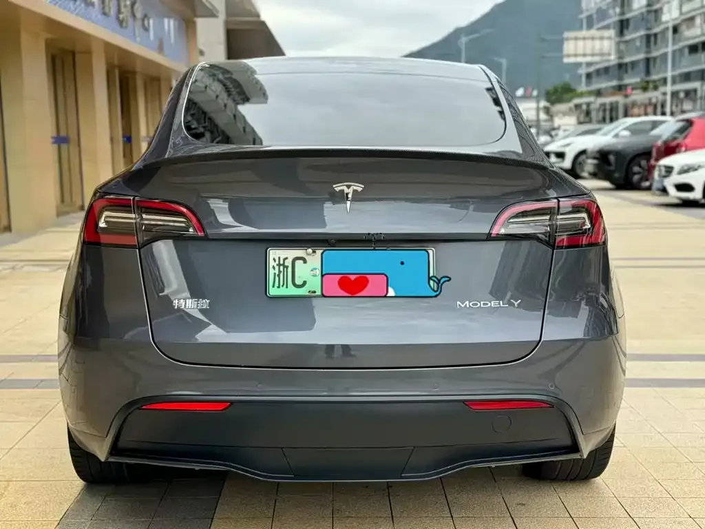 Tesla Model Y 2021 из CN, фото 3