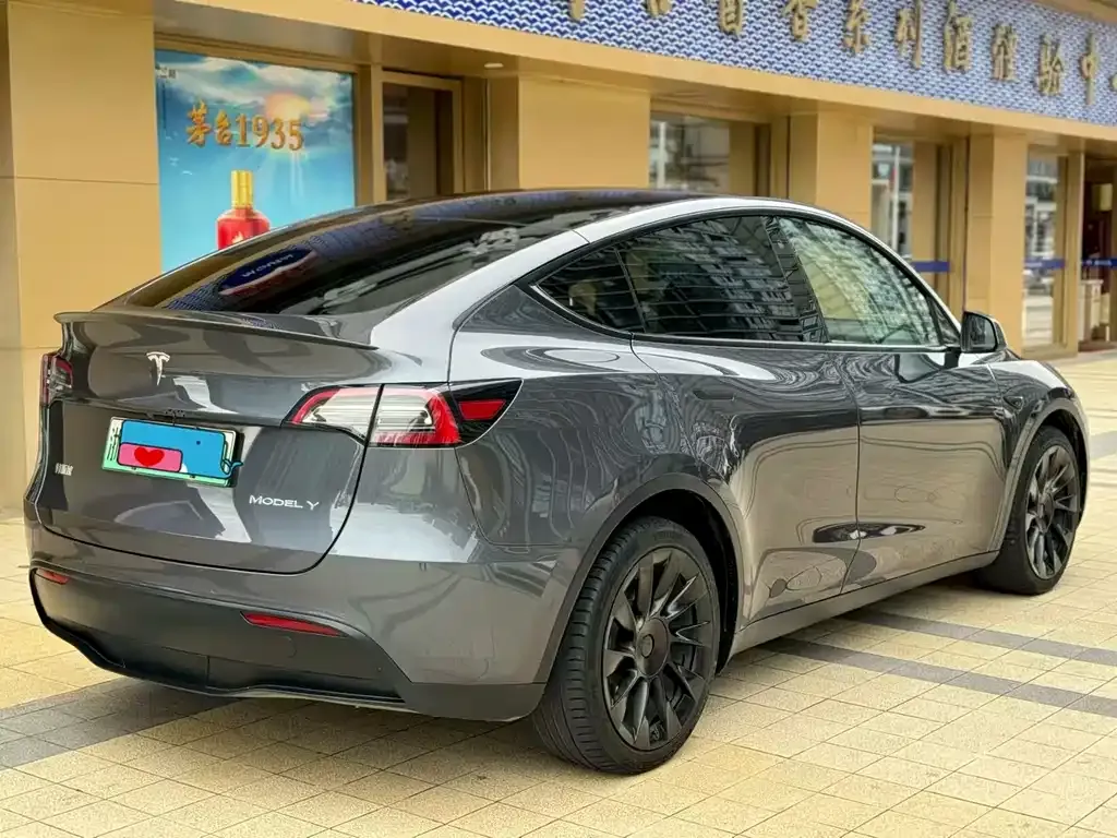 Tesla Model Y 2021 из CN, фото 4