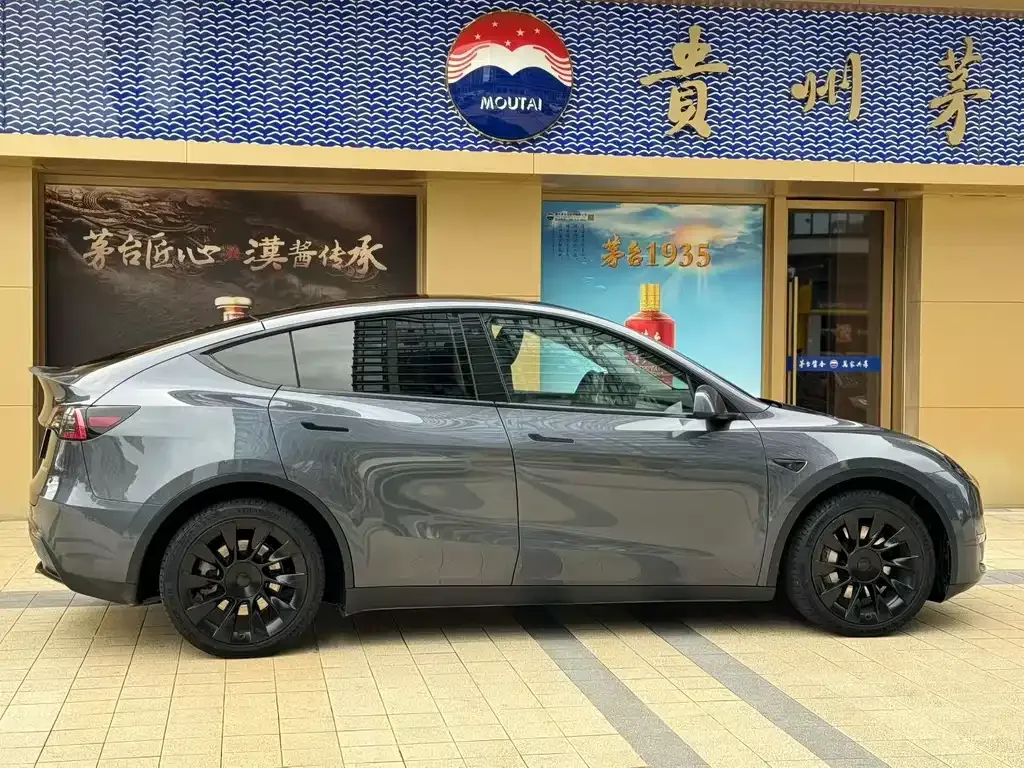 Tesla Model Y 2021 из CN, фото 5