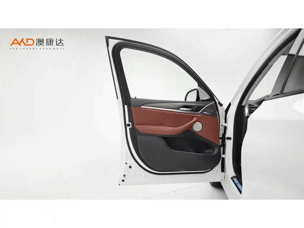 BMW X3 2022 из CN, фото 10
