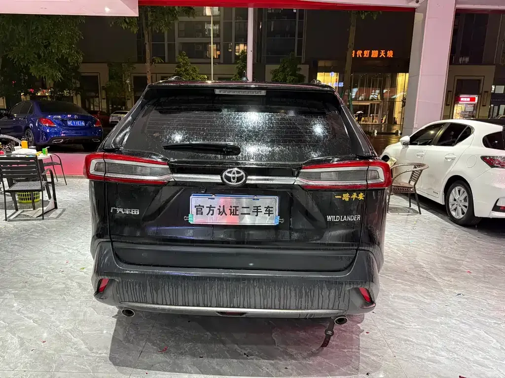 [object Object] Wildlander 2022 из CN, фото 8