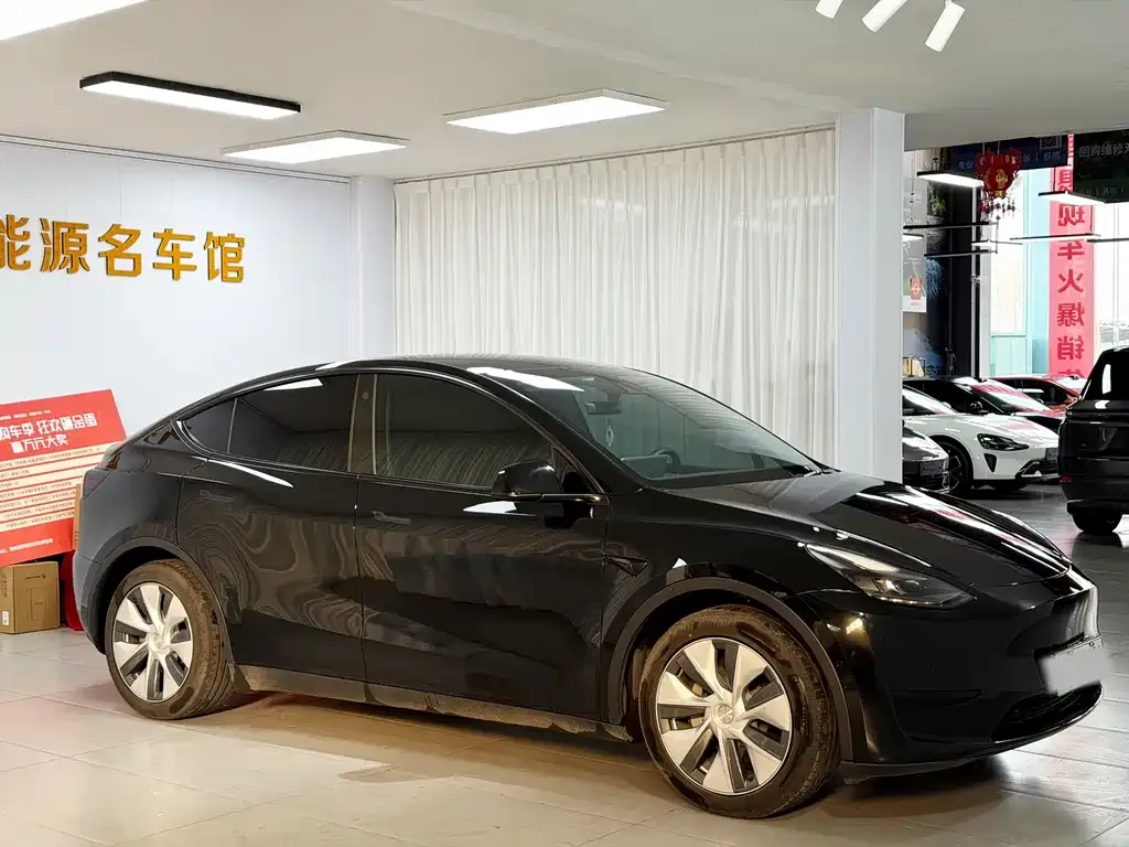 Tesla Model Y — фото 3