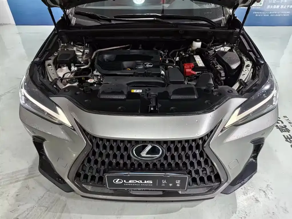 Lexus NX 2023 из CN, фото 3