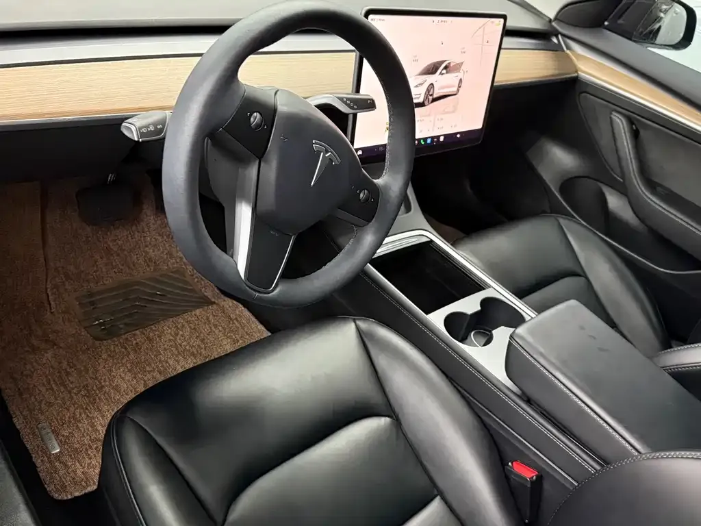 Tesla Model 3 2023 из CN, фото 4