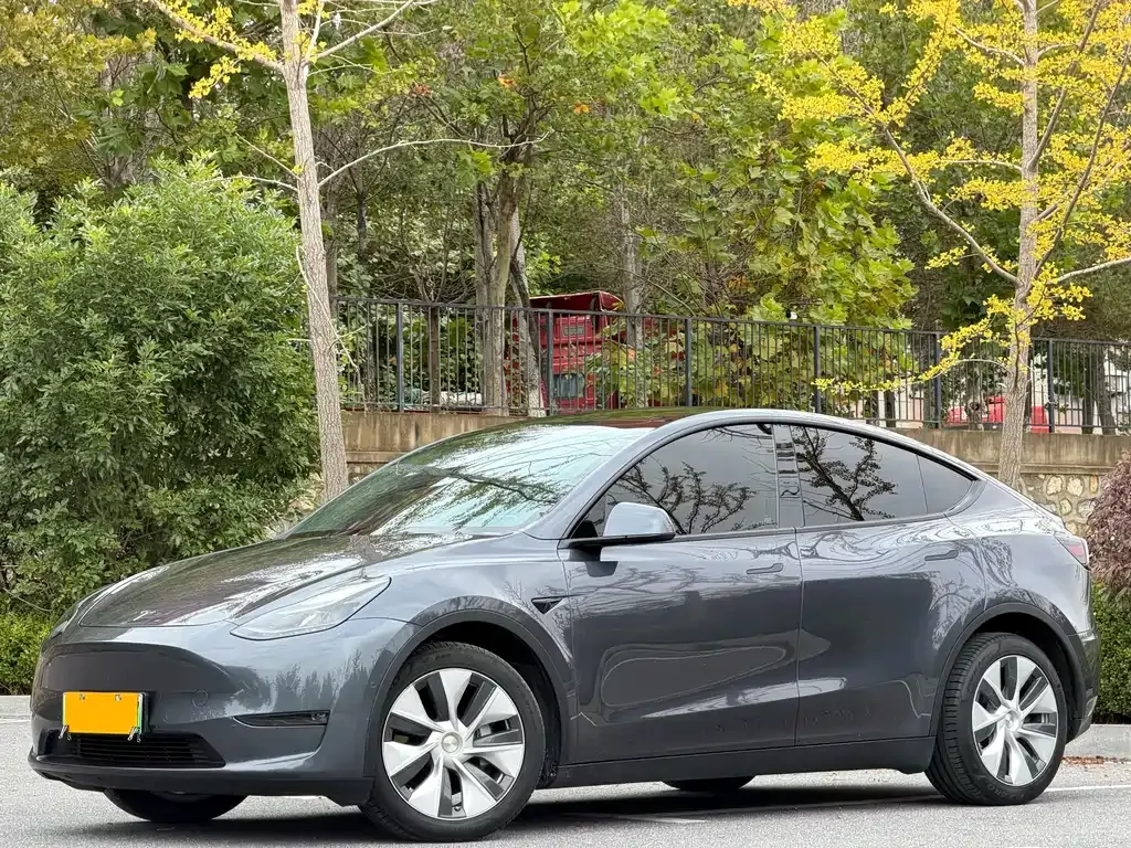 Tesla Model Y 2021 из CN, фото 1